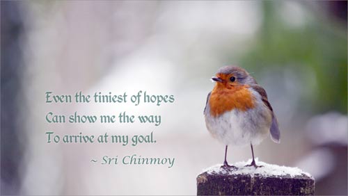 the_tiniest_of_hopes Hope